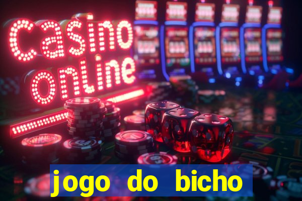 jogo do bicho crash bingo